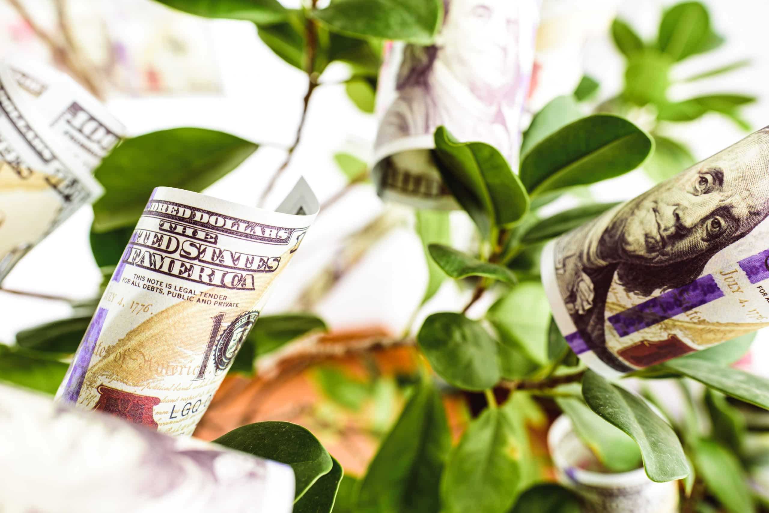 Il bilancio di sostenibilità 2023