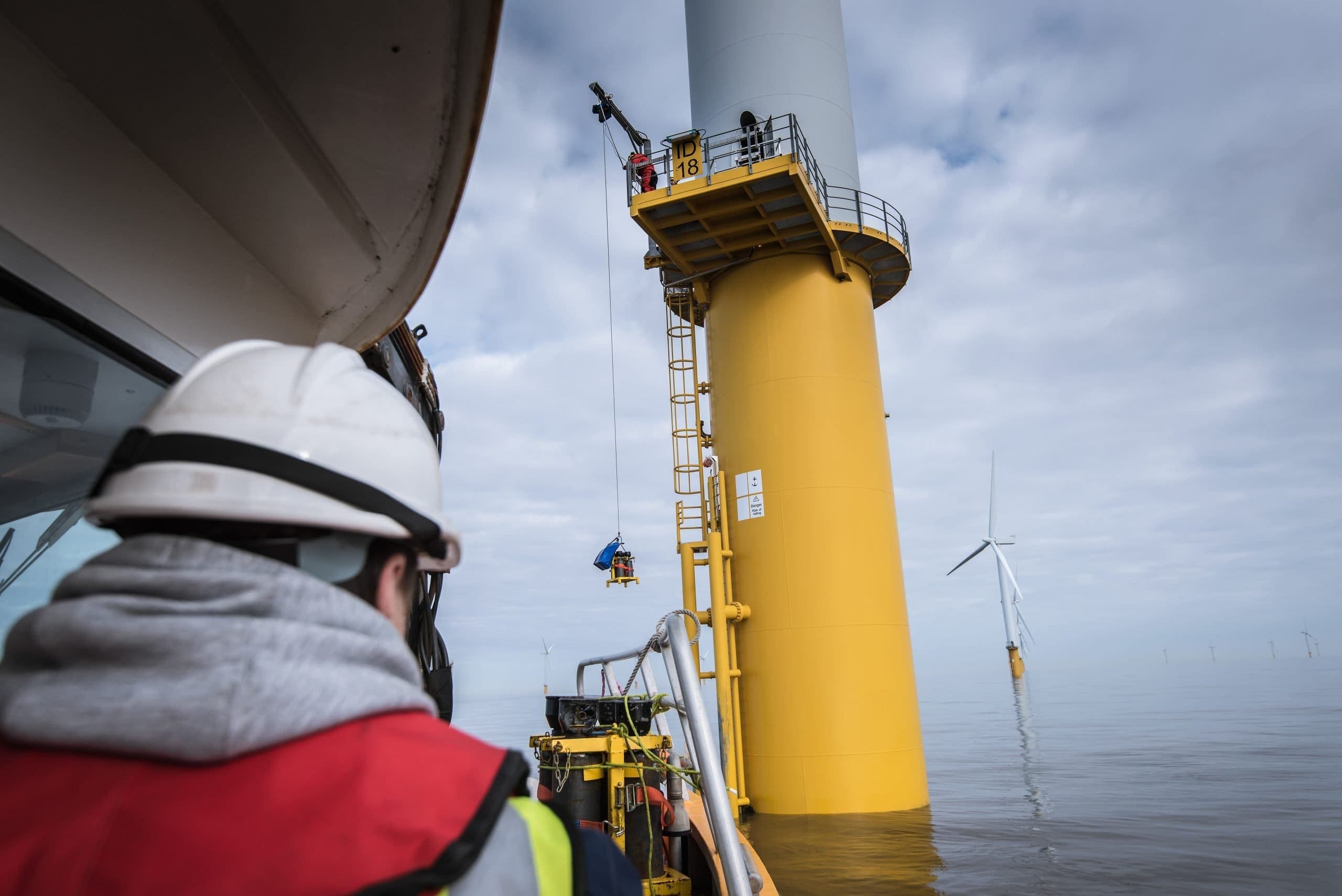 Responsabilità dell’amministratore nelle SRL e azioni di responsabilità