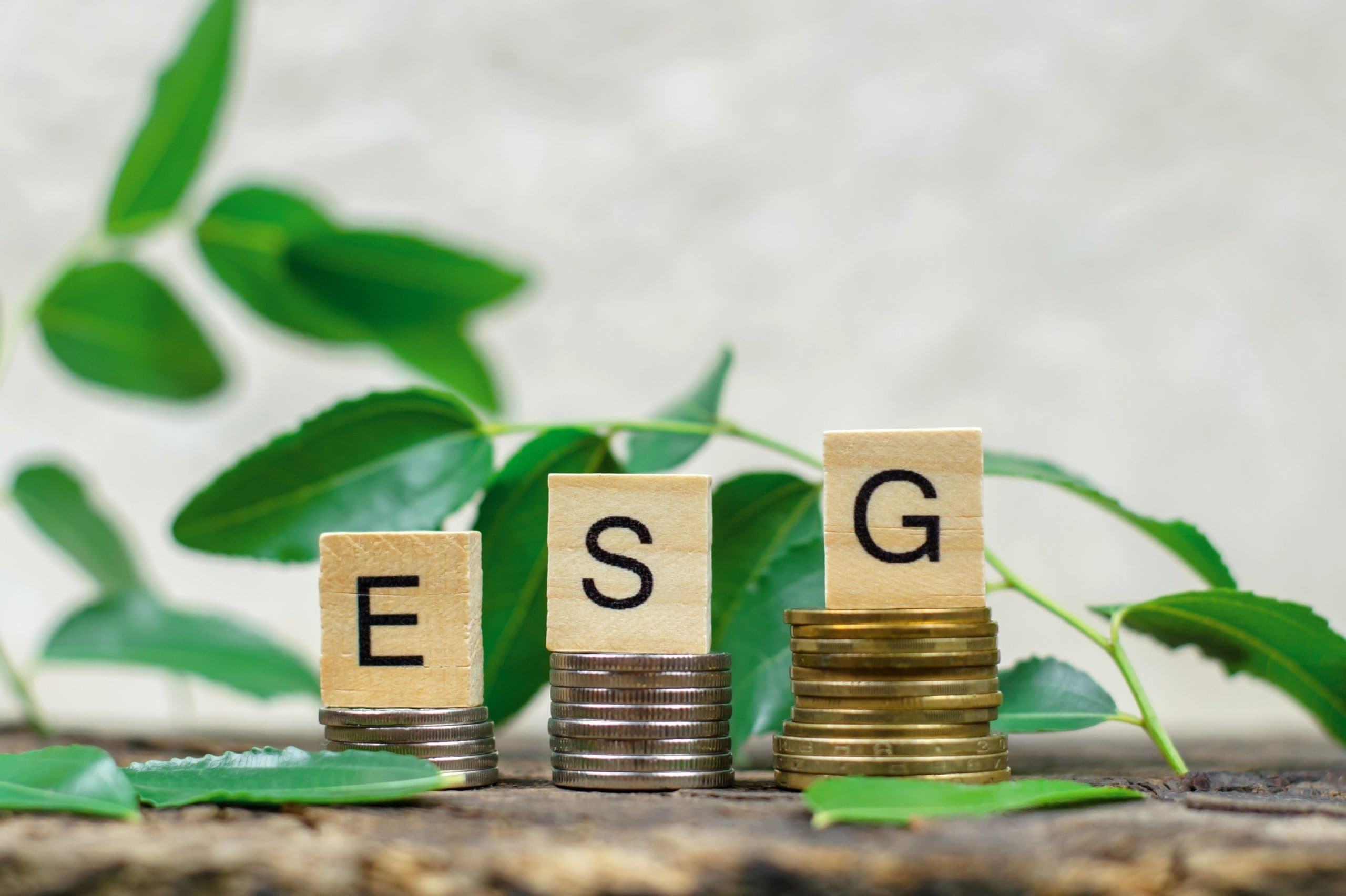 I parametri per rendicontare la sostenibilità: redazione del bilancio ESG