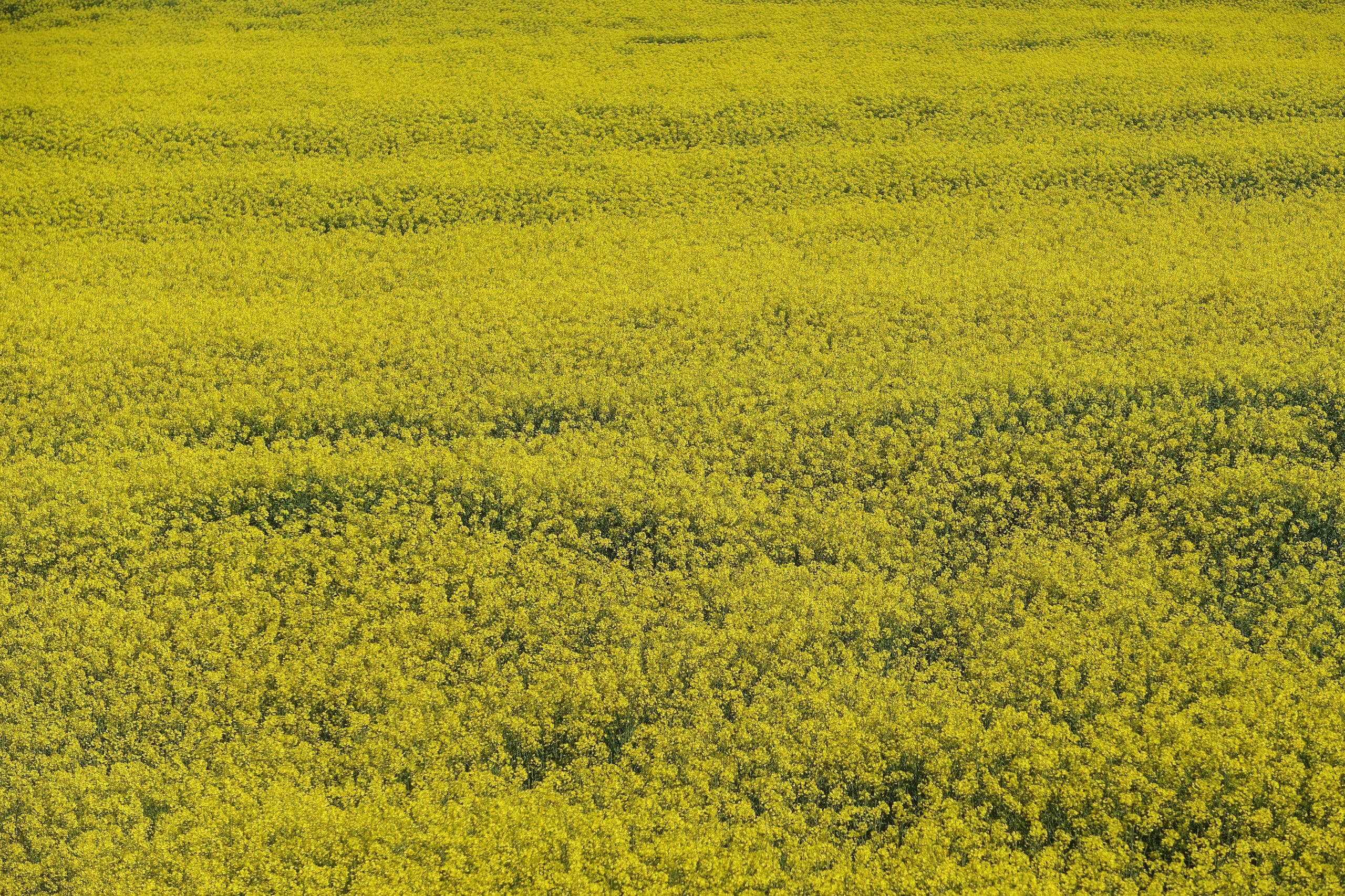 Sostegno tecnologico e finanziario per artigiani in Marche