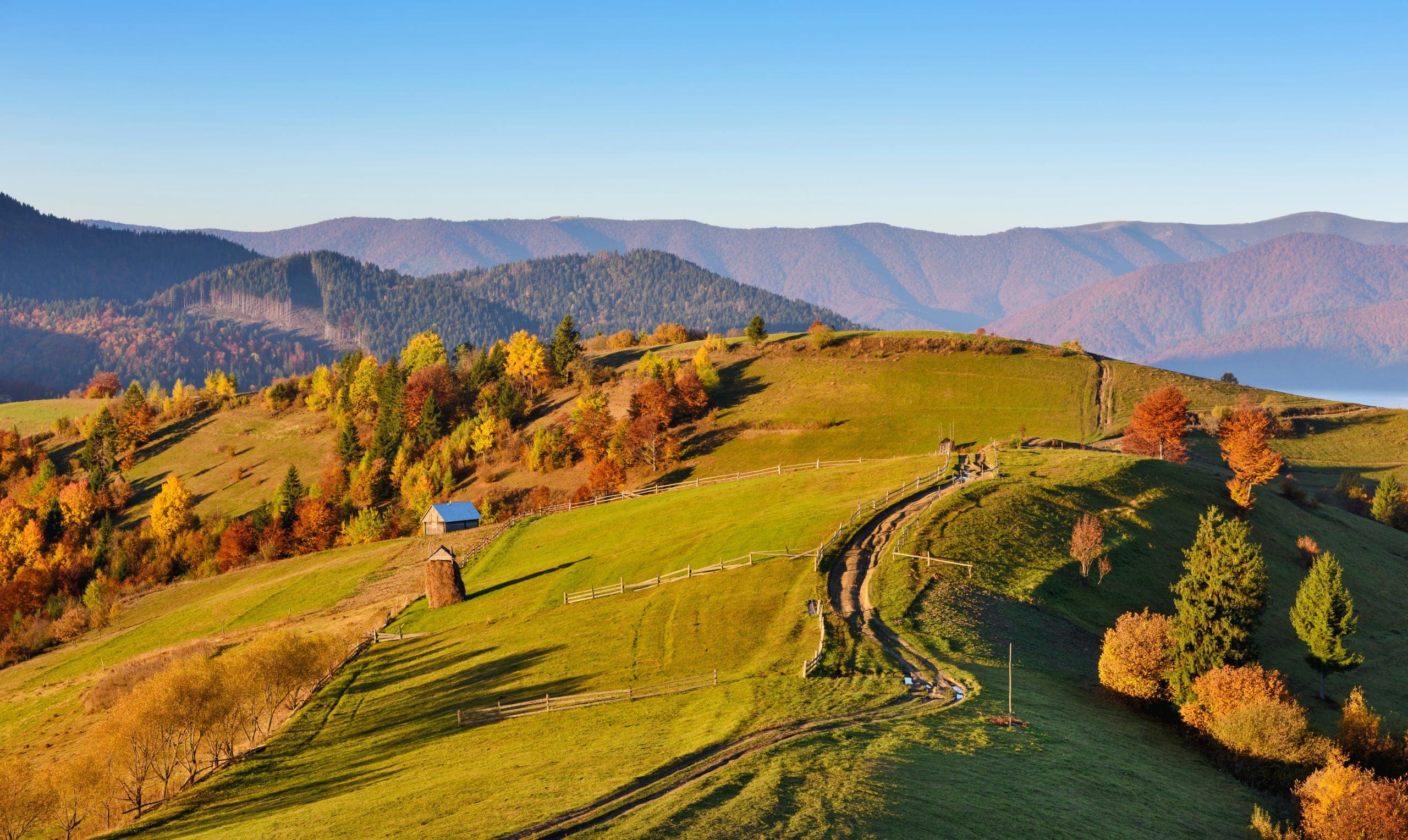 Bando ESG 2023: opportunità per la transizione ecologica